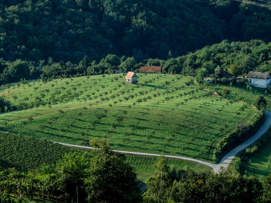 Green Tips for Visitors to the Krško Region